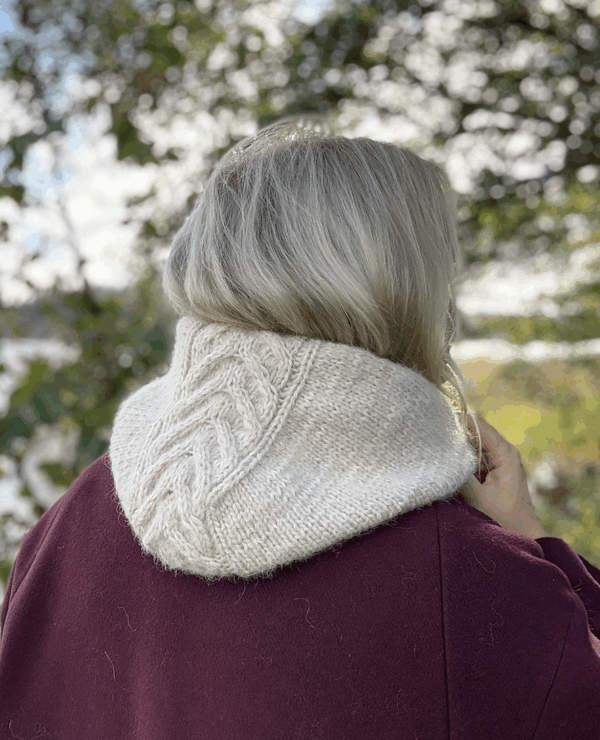 Crownhood2 Crownhood2